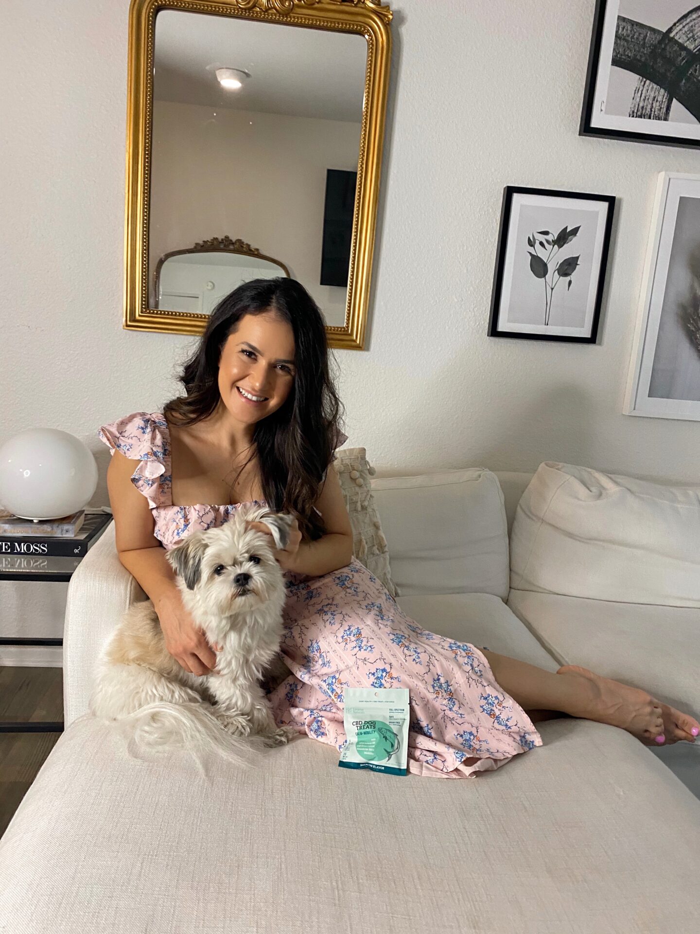 Why We Use Pet CBD in Our Household
