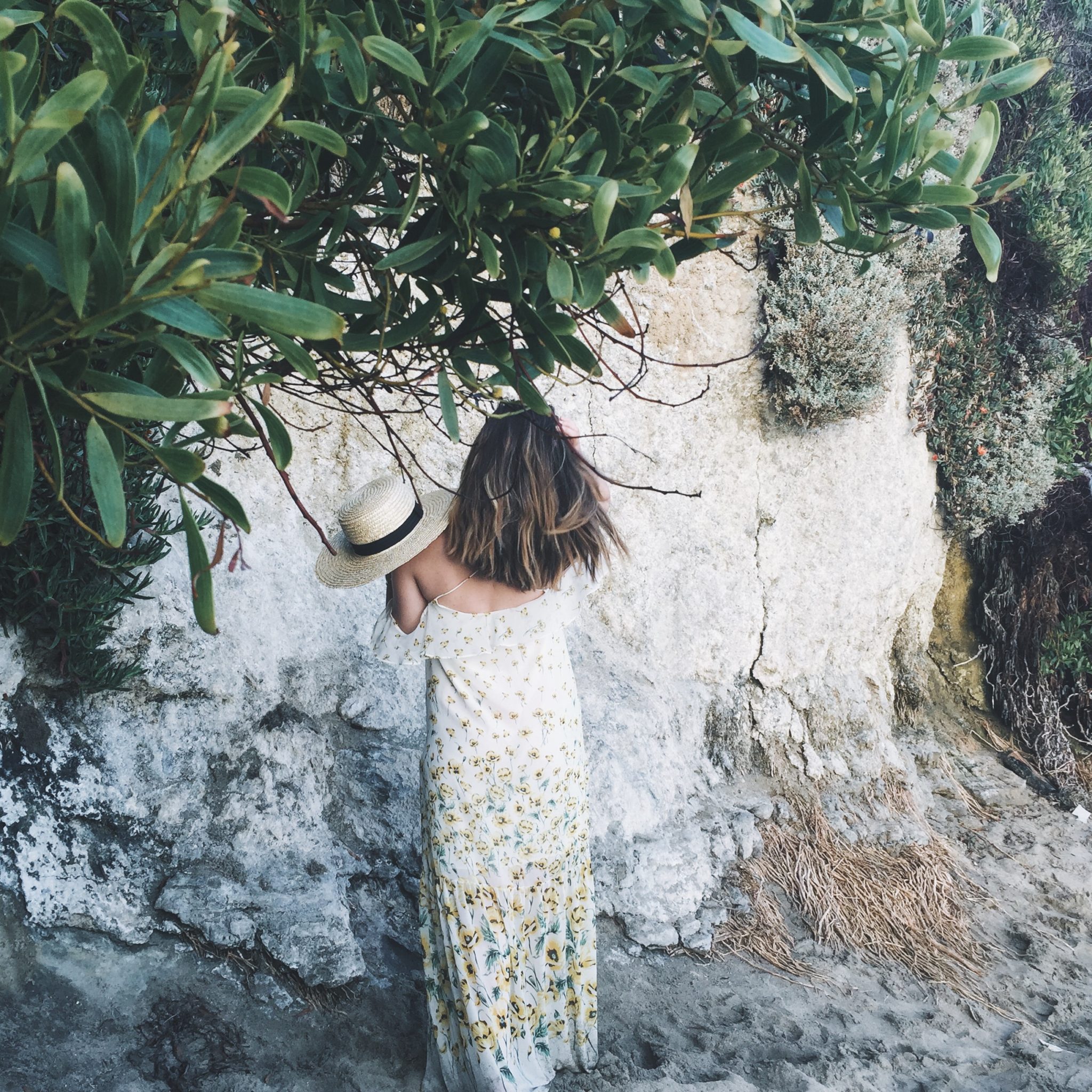 Zara Dress at Laguna Beach