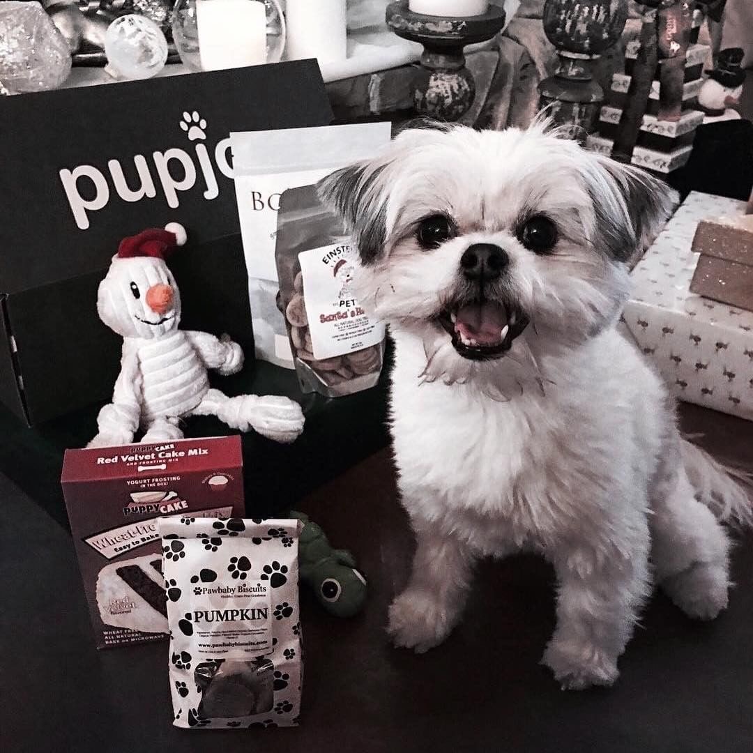 Kyra PupJoy Box