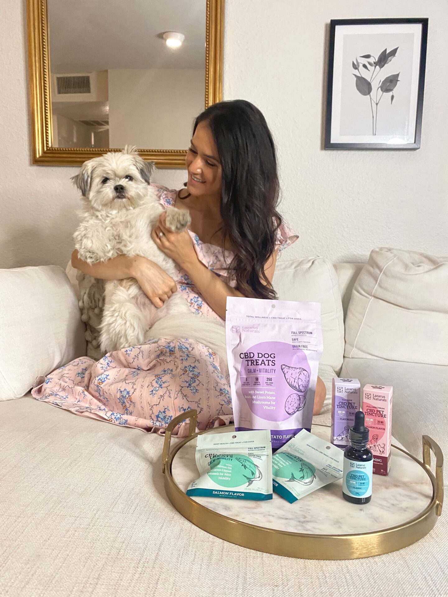 Why We Use Pet CBD in Our Household